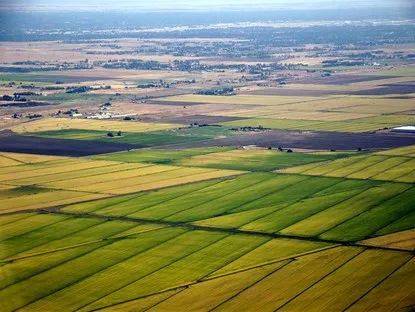 加利福尼亚州萨克拉门托是美国主要的水稻生产基地，但是在2021年却遇到了干旱事件，而不得不大规模减少水稻播种。 图/wikipedia<br label=图片备注 class=text-img-note>