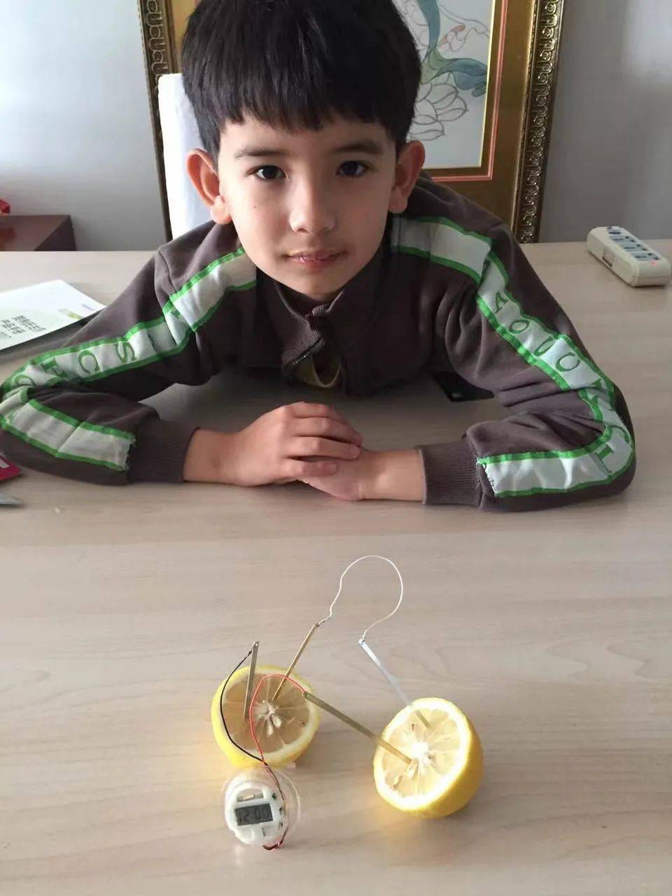 9岁的Gage在做橙子发电研究<br>