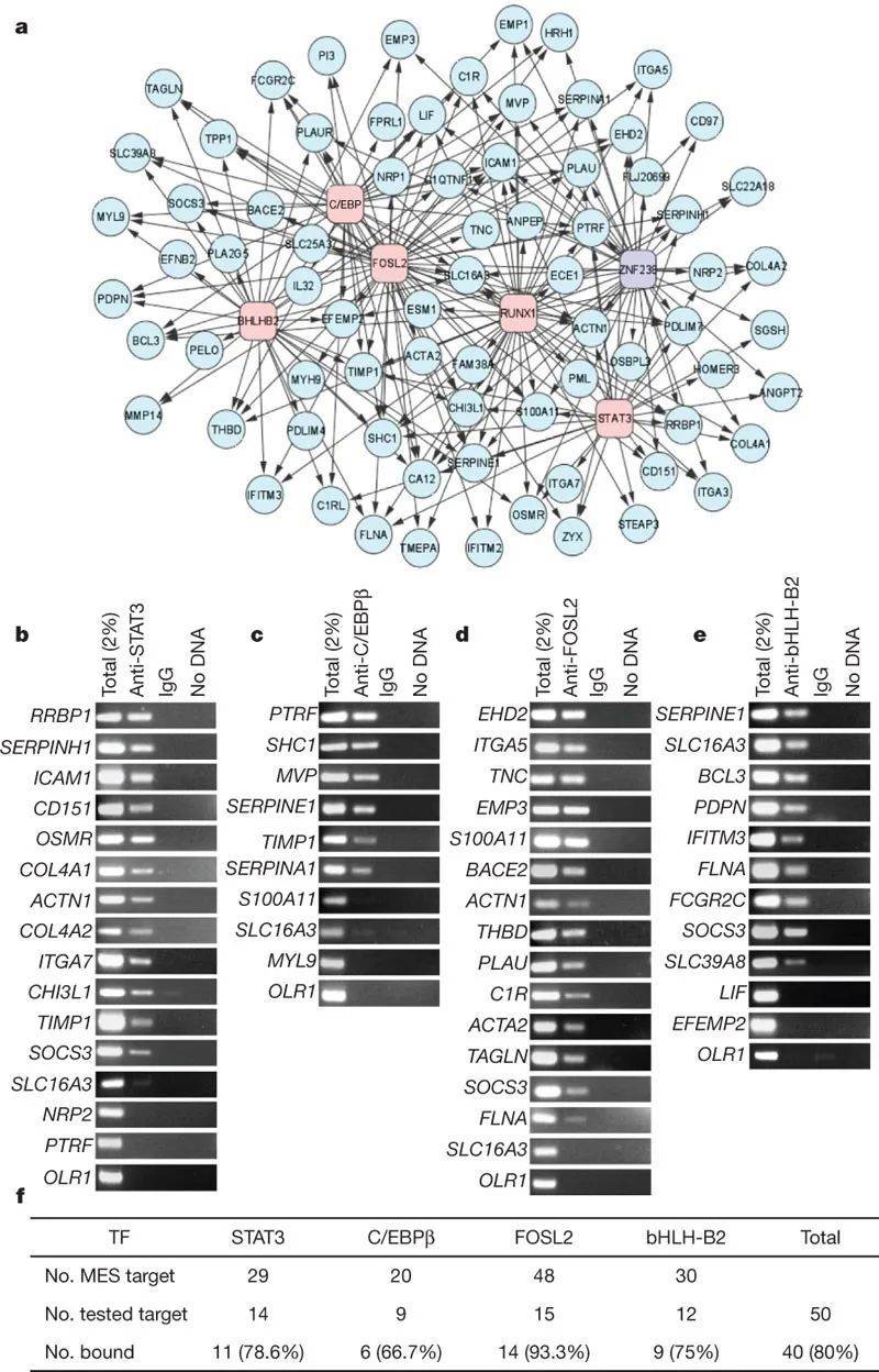 图2. 重构调控网络举例。根据在胶质母细胞瘤中的基因表达数据，计算机预测了包含6个转录因子的调控网络。（Carro MS， et al. Nature.2010）<br>