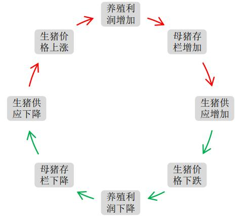 ▲猪周期示意图<br label=图片备注 class=text-img-note>