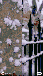 小红书用户拍摄的雪中环球影城<br>
