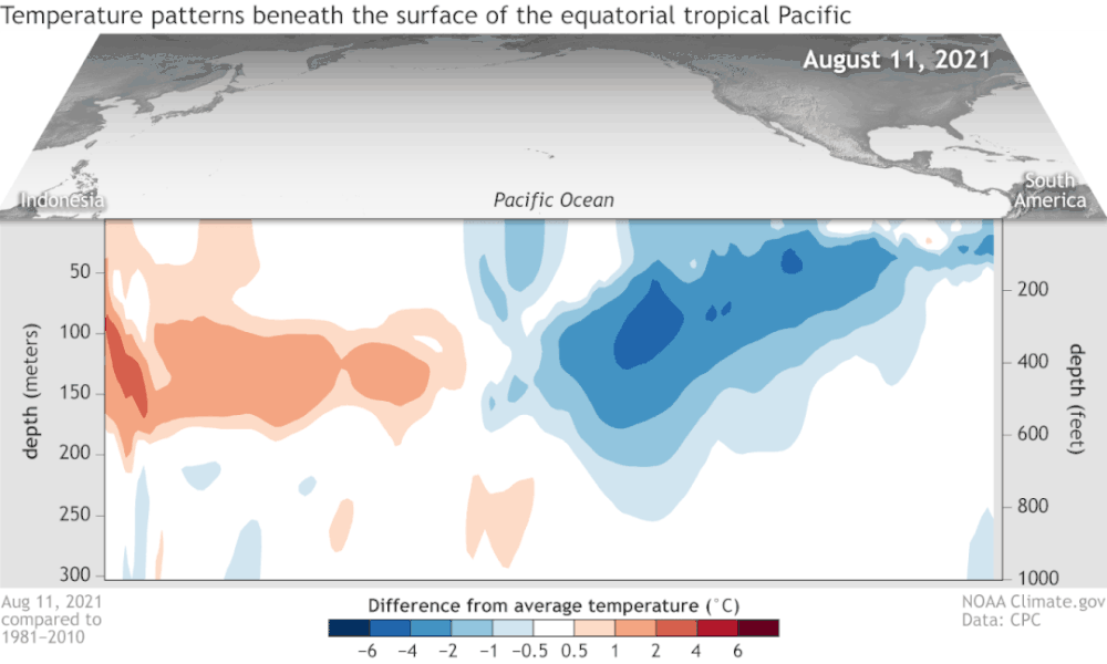 拉尼娜影响的海水温度变化在次表层最明显