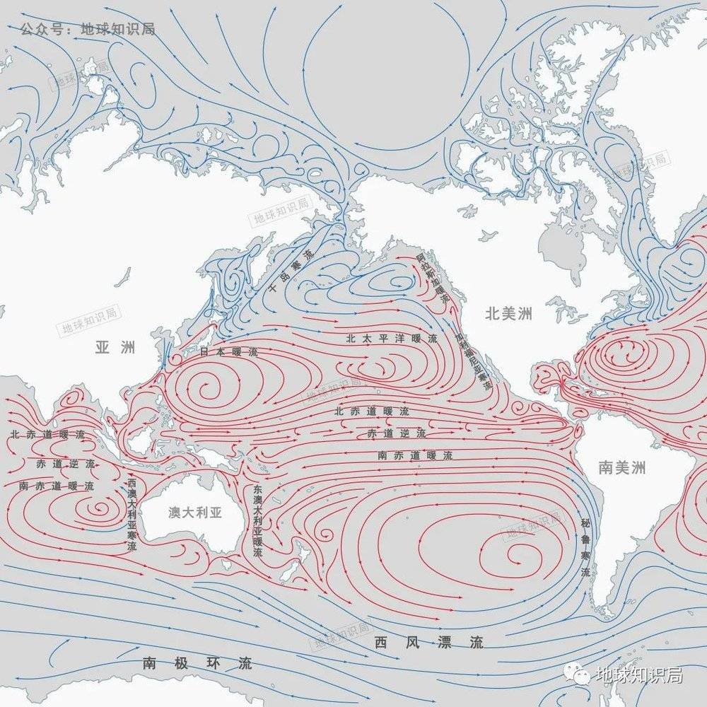 信风吹拂下的赤道暖流是太平洋上重要的能量流动