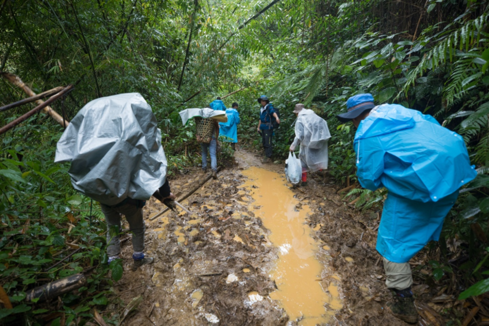 2016年，版纳植物园科考队员在缅甸刚下过雨的密林里行进。谭运洪供图<br label=图片备注 class=text-img-note>
