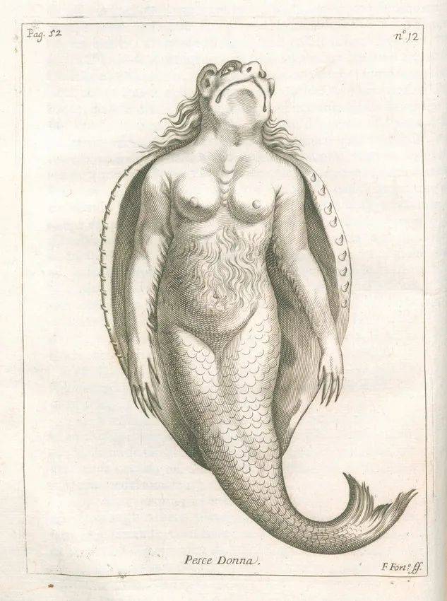 插图：“鱼女”（Pesce Donna），摘自乔凡尼·安东尼奥·卡瓦齐（Giovanni Antonio Cavazzi）的《三王国史记：刚果、马坦巴、安哥拉》（Istorica de’tre regni Congo，Matamba，et Angola），1687年。© wikimedia<br>