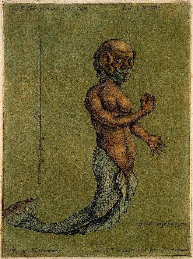 雅克-法比安·戈蒂埃·达戈蒂的人鱼插图，彩色蚀刻凹版画，约1758年。© wellcome collection<br>