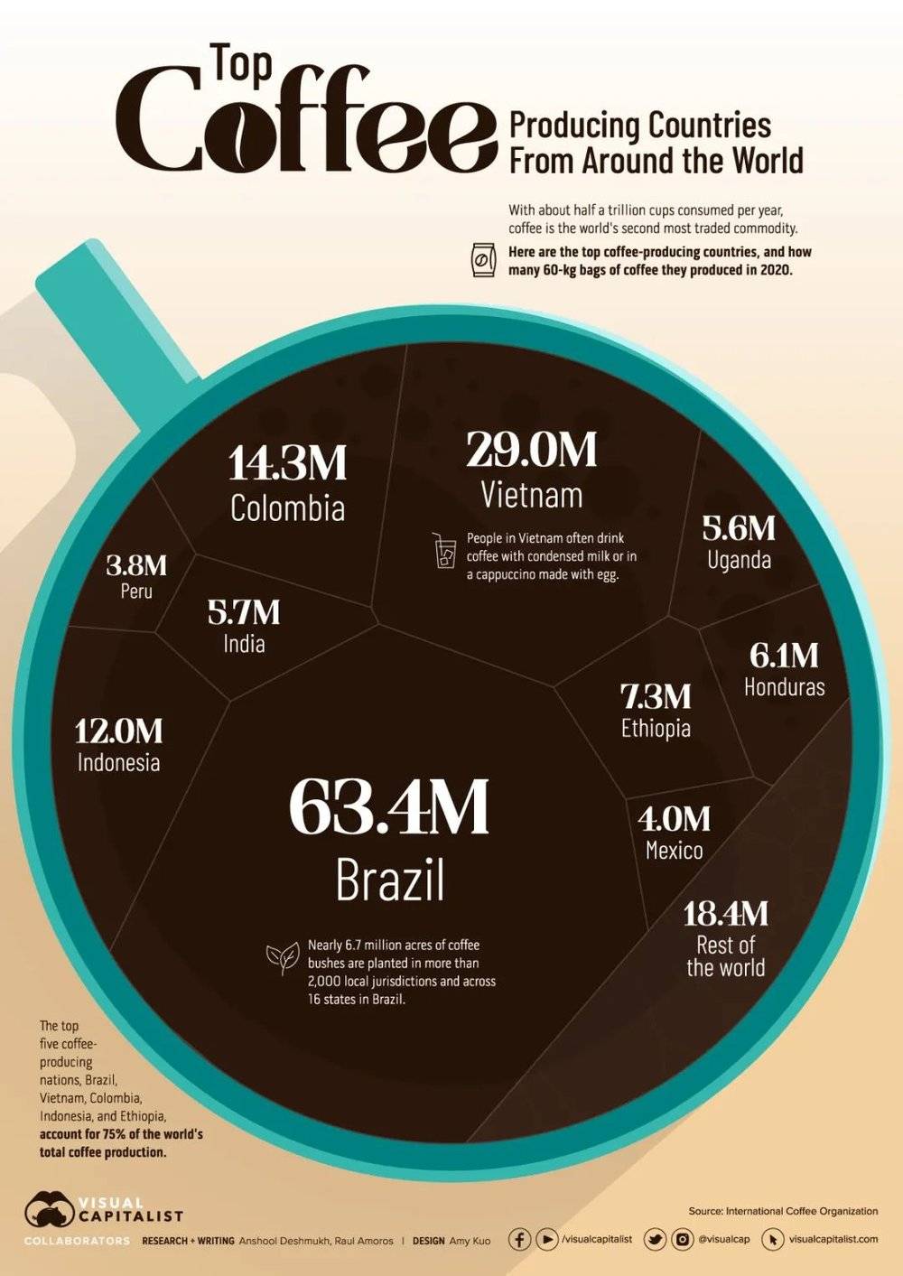 世界上最大的咖啡产地不是在非洲，而是在雨林资源最丰富的巴西。图片来自于visual capitalist.<br label=图片备注 class=text-img-note>