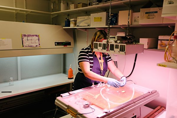 VTT研究实验室高级研究技术员Jaana Rikkinen正在准备一个生物反应器 （ALESSANDRO RAMPAZZO/AFP via Getty Images）.<br label=图片备注 class=text-img-note>