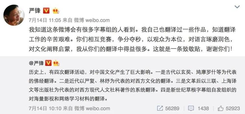 复旦大学中文系教授严锋对字幕组的评价。