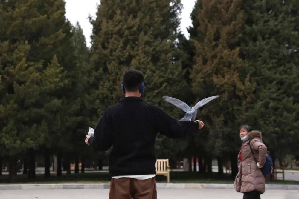 在北京时，郝汉常去公司附近的地坛公园散步
