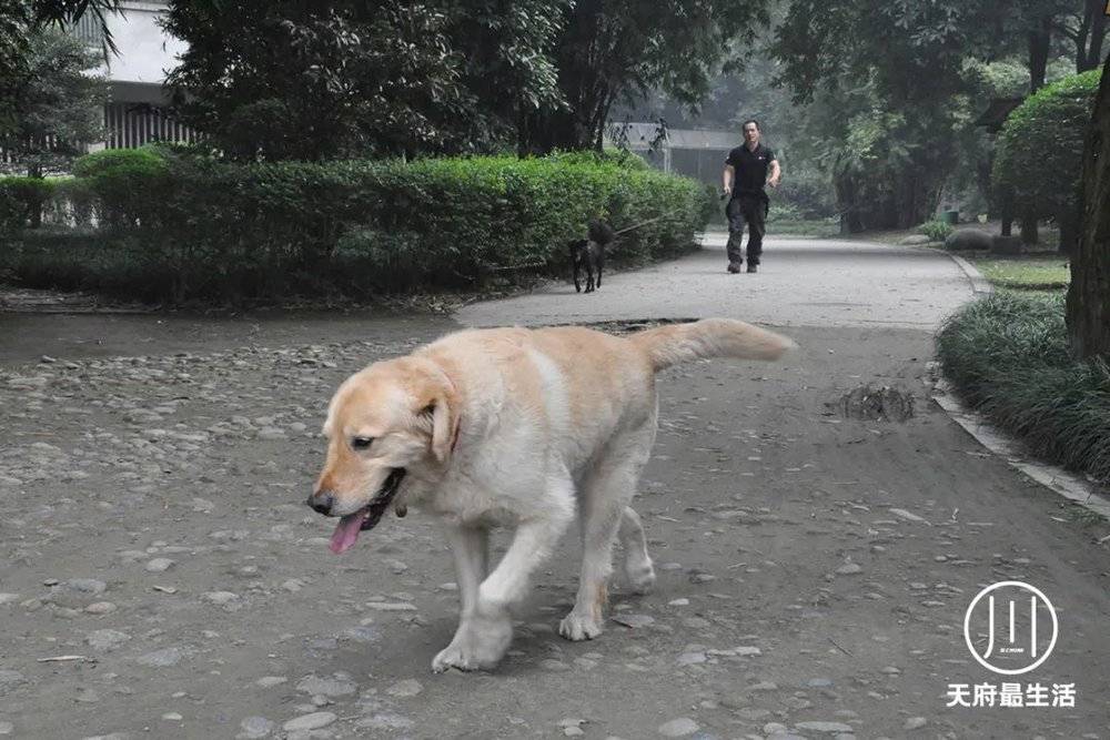 小石在黑熊基地度过了18年时光。图为小石和他养的狗在一起。<br>