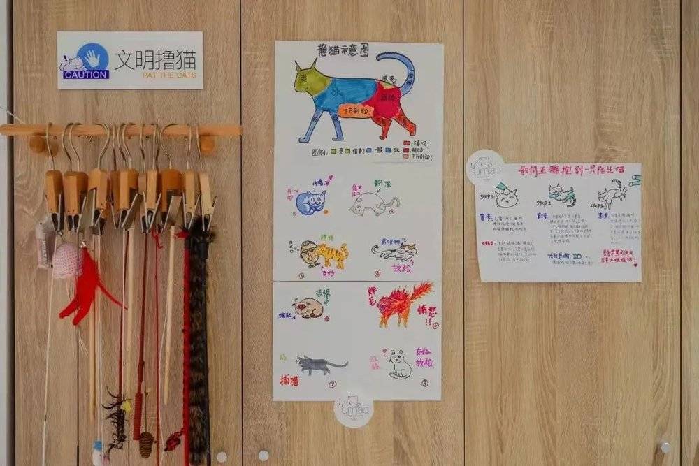 Umiao店员手绘的撸猫示意图<br label=图片备注 class=text-img-note>
