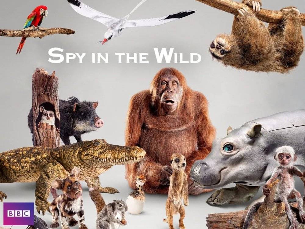 ▲纪录片《间谍动物》，机械仿生动物出镜的集大成之作