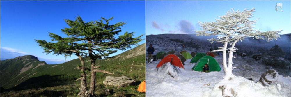 当天黄昏的鳌太水窝子营地。两图仅相距20分钟，陡然暴雪，转眼由夏入冬的特殊六月天。摄 / 黔中君<br>