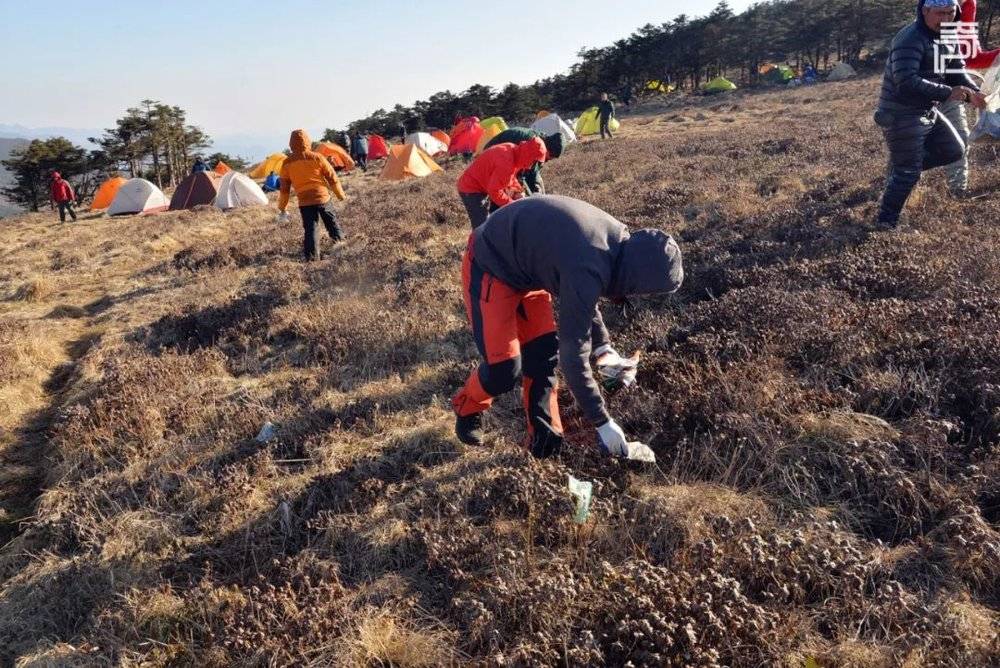 2018年鳌太青山行动中，捡拾垃圾的驴友。供图 / 仗剑<br>