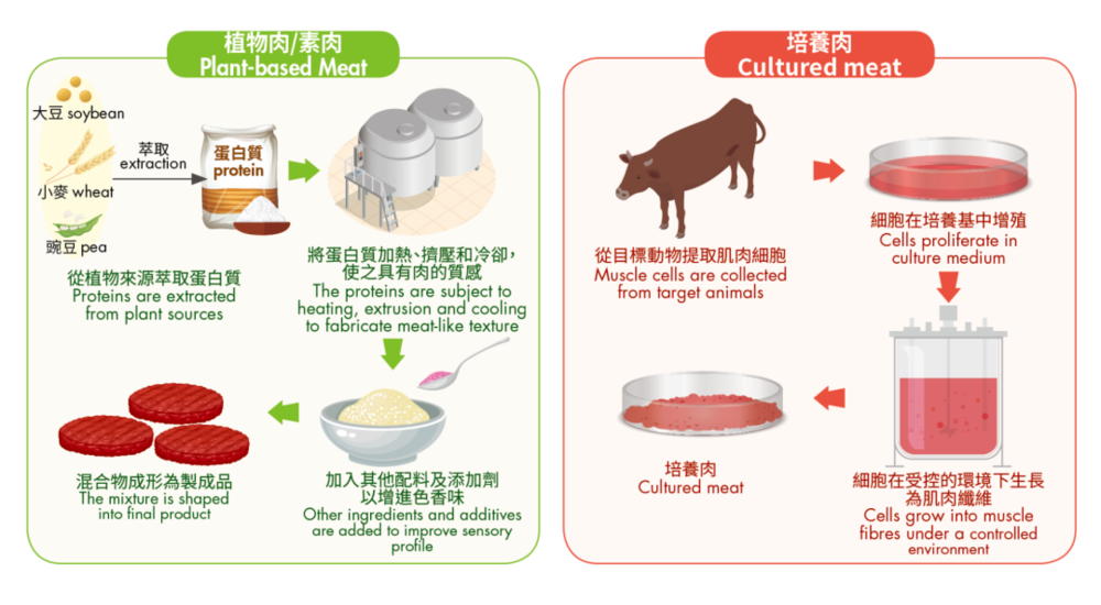 植物肉和细胞培养肉的生产过程 ©香港特别行政区政府食品安全中心