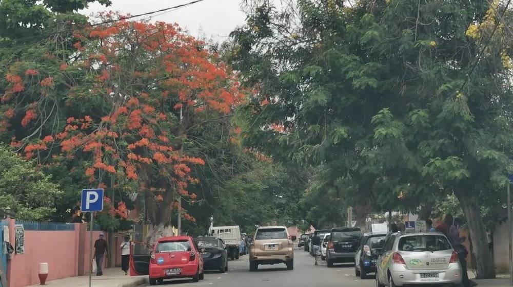 安哥拉市区的街道。