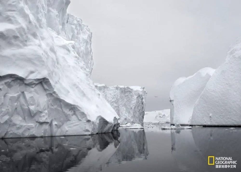 格陵兰迪斯科湾的冰山