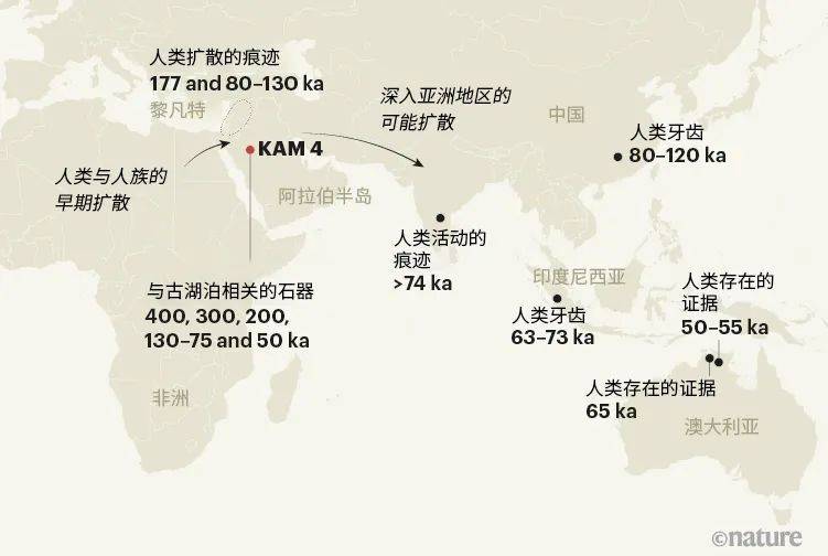 图一 | 古人类的迁徙。在过去的40万年里，智人和他们的人族近亲曾经多次从非洲扩散进入阿拉伯半岛。我们知道人类可能早在6.5万年前（65 ka）就已经抵达了澳大利亚[11]（最晚也在5万到5.5万年前[10]）。然而，他们是何时从阿拉伯地区经由亚洲南部扩散至印度和东南亚的、这类迁移活动发生的频次又是多少，这些都是目前人类亚洲定居史上最不确定的地方。根据Groucutt团队的研究报告[1]，他们在Khall Amayshan考古遗址（称为KAM 4）挖掘出的石制品对应了五个人类居住期。结合来自黎凡特、亚洲及澳大利亚的其它定年数据（图中展示了其中数例）[5·6·10·11·13-15]，关于这些早期扩散事件，一幅更为全面的图景正在浮出水面。<br label=图片备注 class=text-img-note>