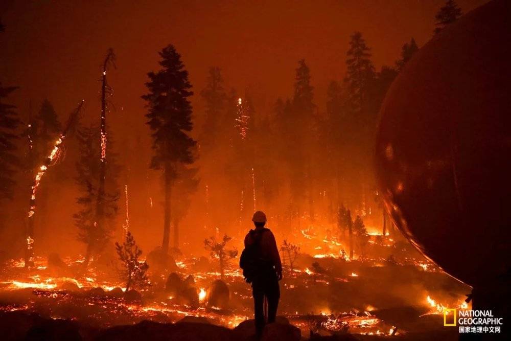 8月，大火向着加州太浩湖（Tahoe）流域蔓延，千余座建筑被摧毁，其中700多座是居所。<br>