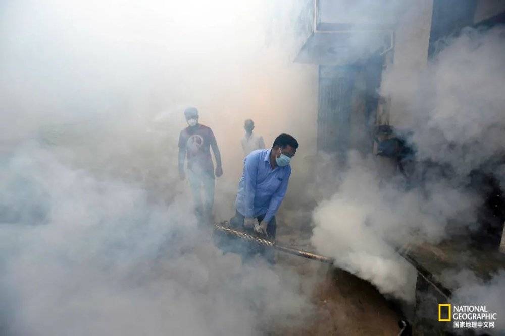 随着气候变化导致气温上升，接触蚊媒疾病的风险也会增加。图为印度新德里的浓烟滚滚的城市街道，工作人员正在熏蚊子，防止登革热、疟疾和基孔肯雅热等疾病传播。
