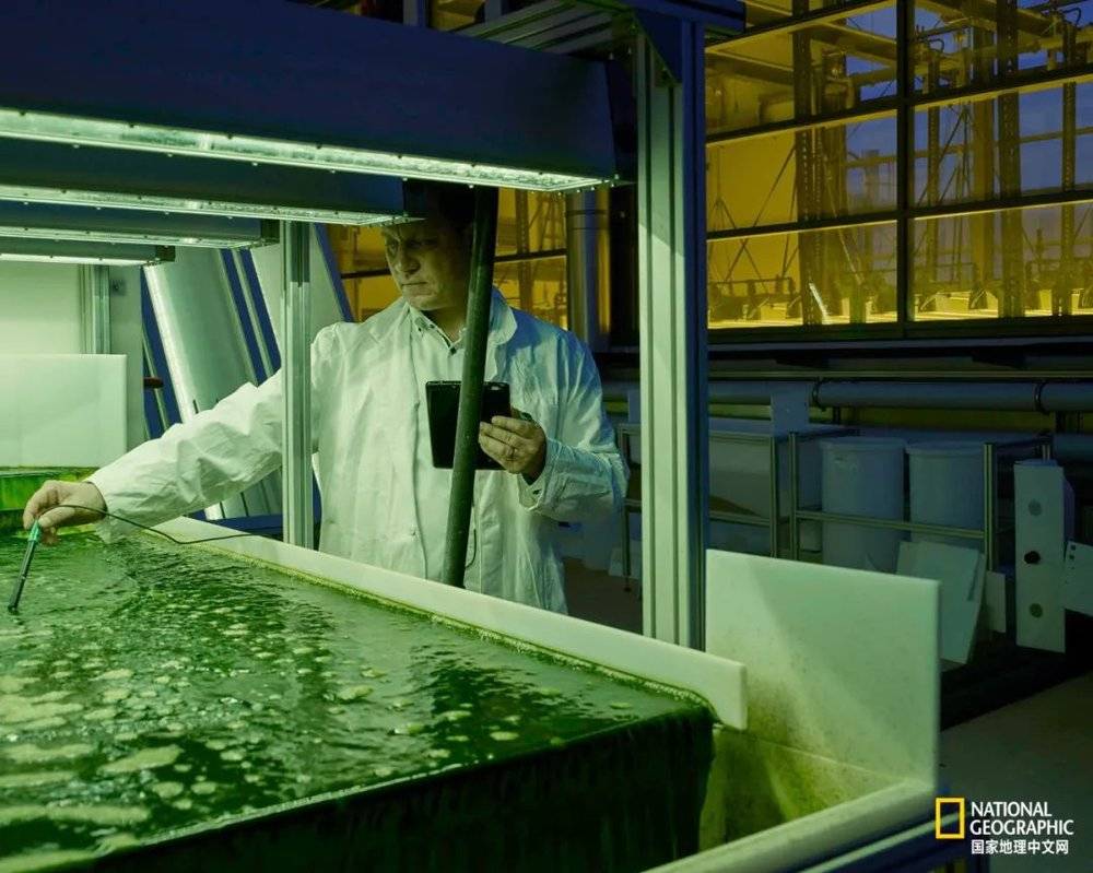 德国慕尼黑工业大学，科学家可以重建地球上任何地方的化学环境，模拟藻类生长周期。这些研究成果将用于制造更轻便的燃料和航空工业建筑材料。
