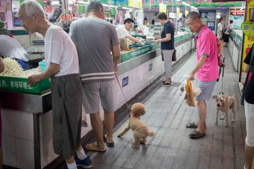 上海的爷叔不仅要买菜，还要遛狗。2017年摄于上海平型关路上的洛平菜场。图：高尔强<br>