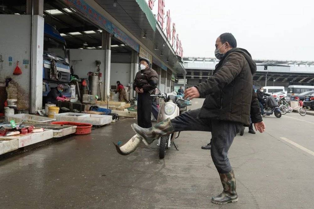 上海七宝蔬菜农副产品综合交易市场上，一位鱼贩身手矫健地把跳出来的鱼踢回去。政府对菜市场管理身段也会如此柔软吗？图：高尔强<br>