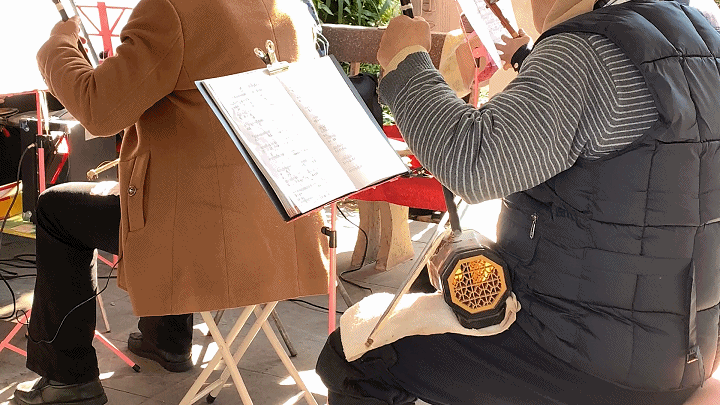 在上海的公园里，胡琴也是比较常见的乐器
