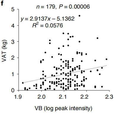 血浆δ-VB和内脏脂肪成正相关关系<br>