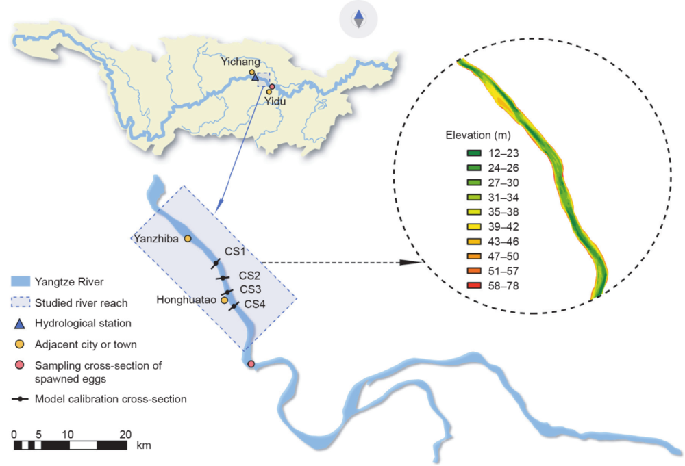 图1 长江中游鱼卵取样的研究河段河床标高和横截面（CS1~CS4）
