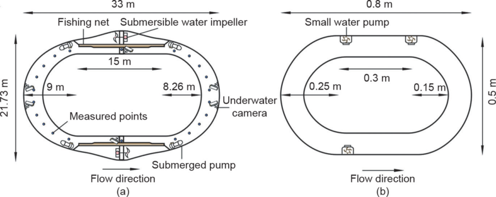 图2 产卵试验深度为1.8 m的大环形水槽（a），以及胚胎实验深度为0.2 m的小环形水槽（b）<br label=图片备注 class=text-img-note>