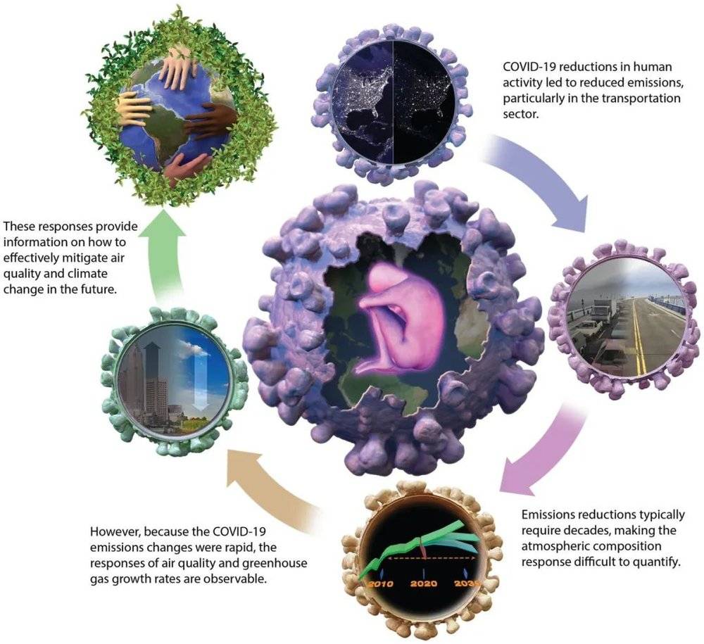 图3. 新冠疫情引发封锁，快速显著减少人类活动、降低大气排放，留下易观察的大气响应结果。<br label=图片备注 class=text-img-note>