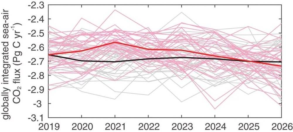 图5. 模拟结果显示海-气碳交换对 2020 年人源CO<sub label=图片备注 class=text-img-note>2</sub>排放量的减少做出了快速反应。图中黑/灰线源自共享社会经济途径 2–RCP4.5 CO<sub label=图片备注 class=text-img-note>2</sub>排放强制模拟，而红色/粉红色线源自 2020 年CO<sub label=图片备注 class=text-img-note>2</sub>排放峰值减少25%的模拟。颜色深的黑线和红线分别是对应浅色线的平均值，即代表模拟的稳定结果。<br label=图片备注 class=text-img-note>
