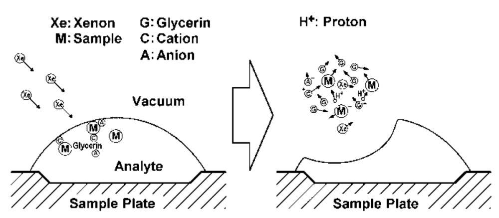 图3：快原子轰击法以甘油为介质实现去吸附离子化的机理。来源：Tanaka, K. (2002) Nobel Lecture。<br>