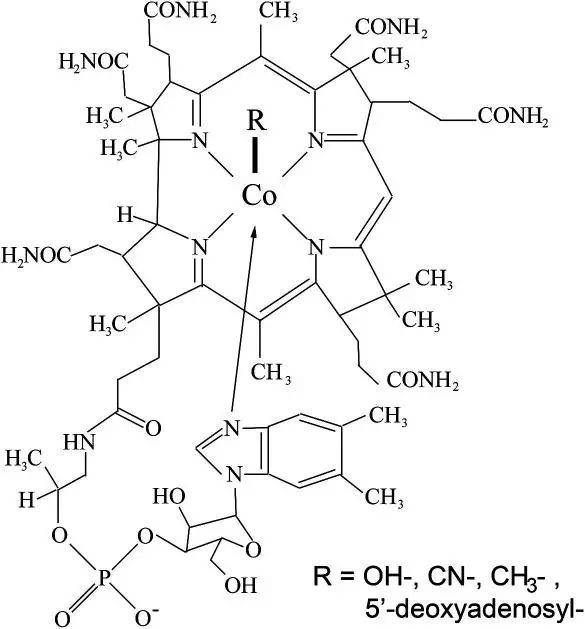 图4：维生素B12的化学结构<br>