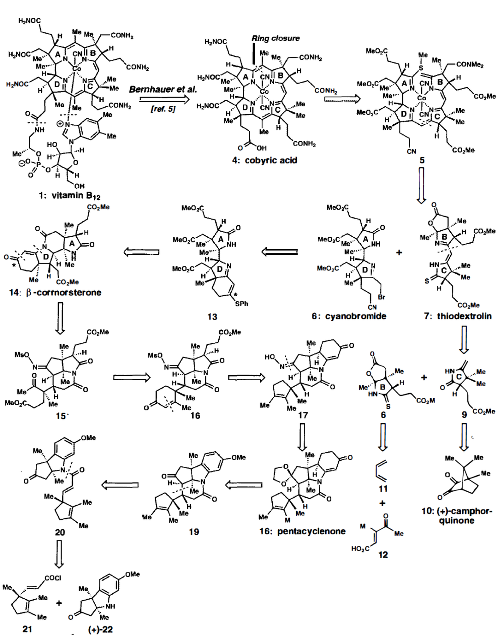 图5：根据反合成分析法设计的维生素B12全合成路线。来源：Nicolaou, K.C. & Sorensen, E.J. (1996) Classics in Total Synthesis, pp. 99-136, VCH Publishers, Inc.<br>