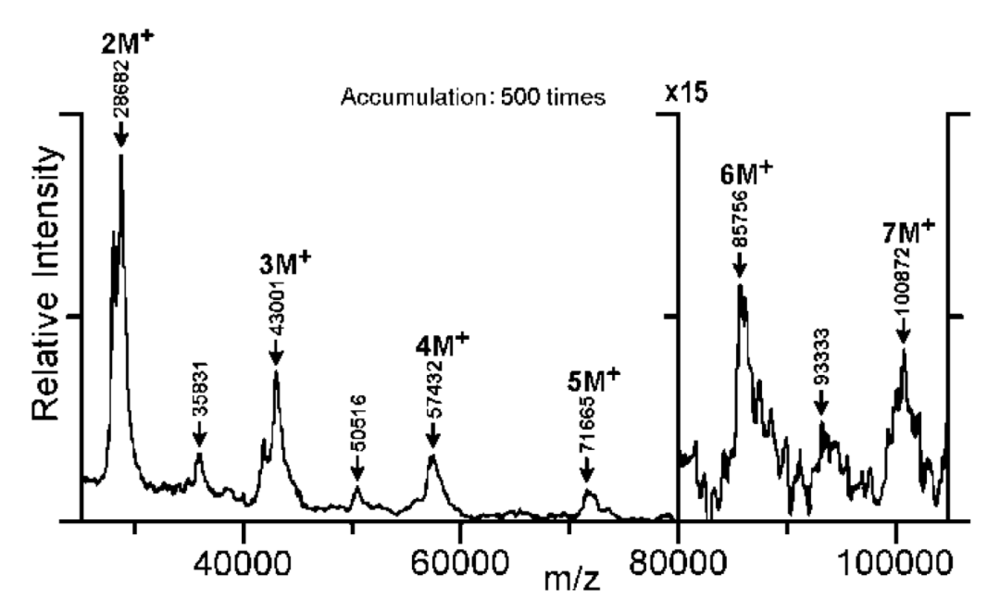 图7：通过UFMP-甘油混合介质检测到的溶菌酶七聚体分子离子峰。来源：Tanaka, K. (2002) Nobel Lecture。<br>