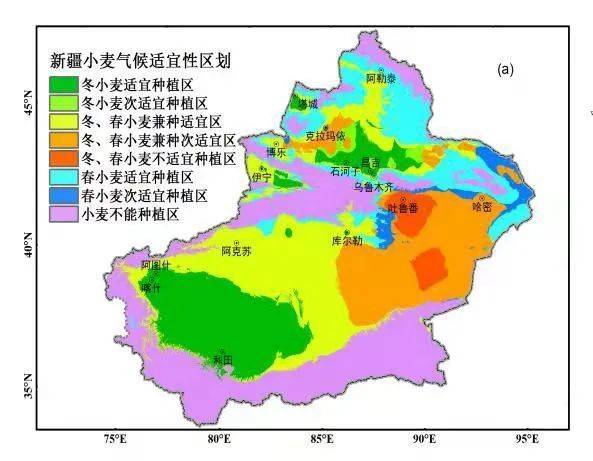 1961～1996年新疆小麦种植气候区划 资料图