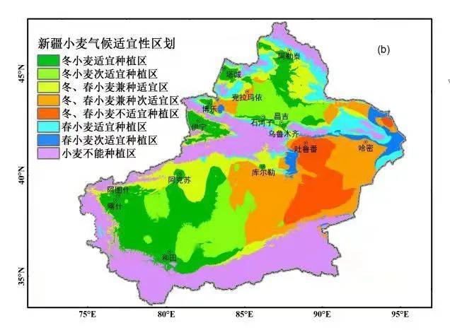 1997～2020年新疆小麦种植气候区划 资料图<br>