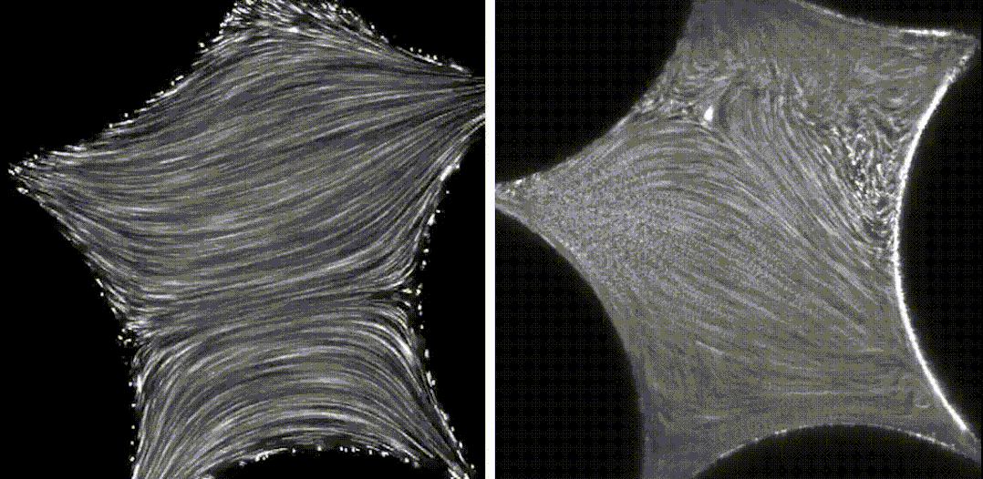 一种粘性流体穿过多孔介质，当流速较低时（左），流体流动平稳；但当流速变高时（右），流体中的聚合物会导致流体变得混乱，旋涡会不断的形成、增长和消失。| 动图来源：Datta Lab<br label=图片备注 class=text-img-note>