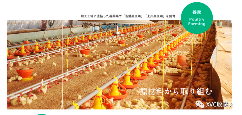 神户物产的养鸡业务 来源：神户物产官网