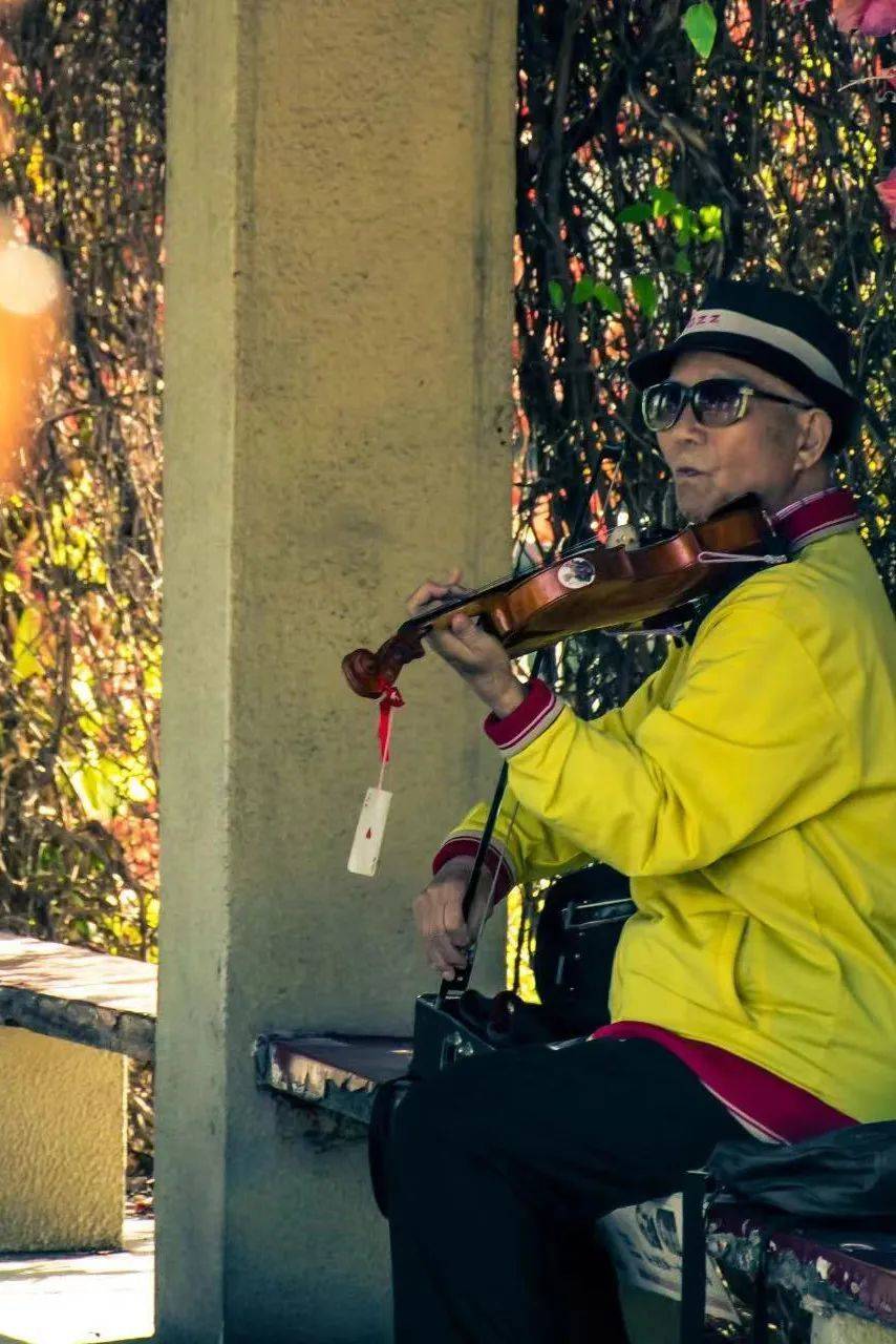 荣园中拉小提琴的老人。摄影/枉言