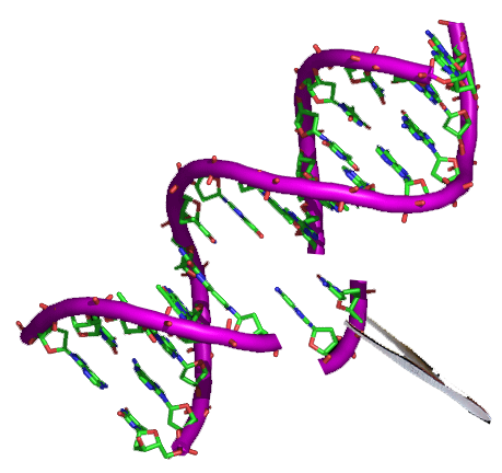 基因编辑既是力器，也是利器（图源：Wikipedia | Ciencias Españolas KoS）