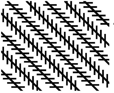 图13. 佐尔纳（Zöllner）错觉 | 图源：Bach, M. Optical illusions, 2006<br>