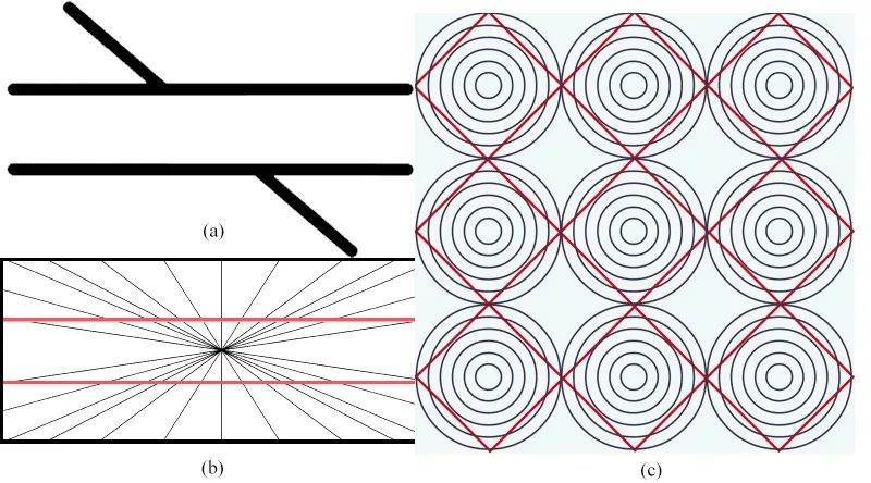 图14. 几种常见的几何和角度错觉：（a）波根多夫错觉；（b）赫林错觉；（c）赫林错觉和佐尔纳错觉之组合<sup>[6]</sup><br>