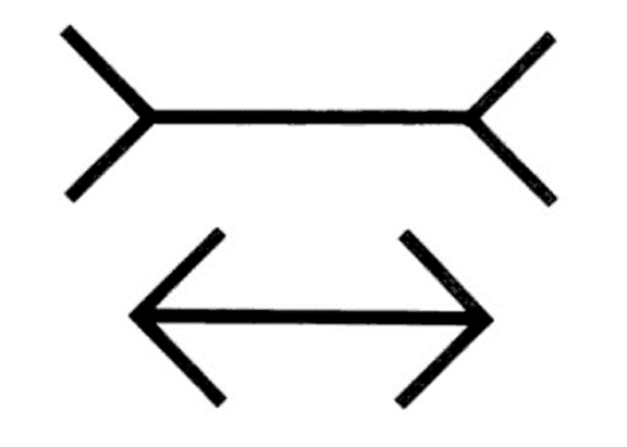 图15. 米勒-莱尔（Muller-Lyer）错觉 | 图源：The Scientist<br>