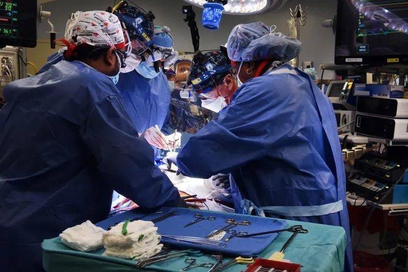 马里兰大学医学中心的外科医生将一个转基因猪心移植到了病人David Bennett的体内。来源：马里兰大学医学院