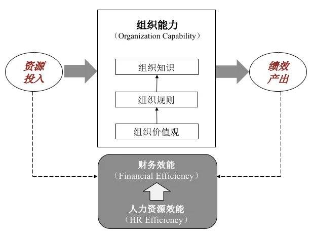 图2：组织能力的三明治模型