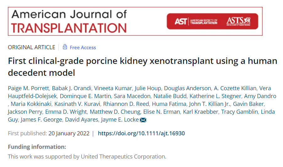 该研究以“First clinical-grade porcine kidney xenotransplant using a human decedent model”为题，发表在 American Journal of Transplantation 杂志上。